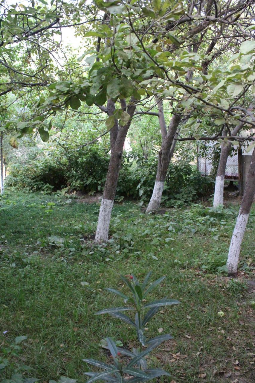 Riverside Khorog Εξωτερικό φωτογραφία